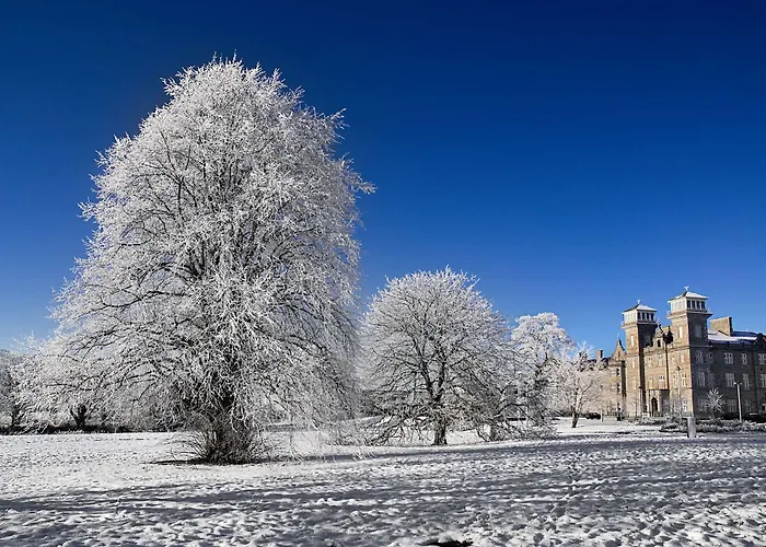 Clayton & Leisure Club 4*